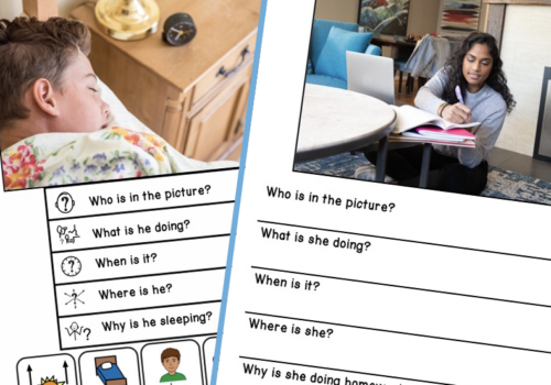 wh questions picture scenes for speech therapy